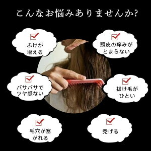 hC[ CIhC[ }CiXCI  y 啗 Xs[fB[ x 3iK