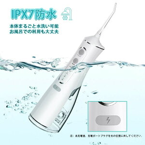 IPX7h 4[h o@ 300MLe R[hX 2024 C WFbg WFbgEHbV[