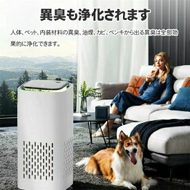 空気清浄器 コンパクト マイナスイオン発生 イオン 消臭 除菌 省エネ 静音 ミニ 小型 シャープ
