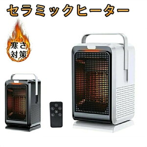 Z~bNq[^[ ^ 1000W q[^[  ItBX  }CiXCI  