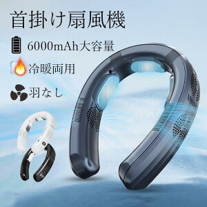 g [/g[ 6000mAhe ̗p 3pv[g @ | É  