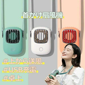 HȂ y nfBt@ 񂩂 @ nfB  2024 É j[Af @ ԘAғ ܏