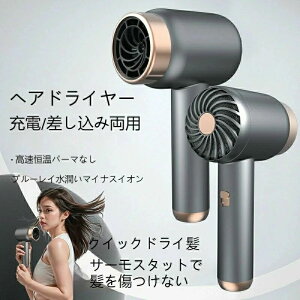 [dwA[hC[R[hXM[hivOCj[hiCXjwA[hC[Ԑߖ񏬌^Ŏ^тɕ֗3iME╗߉\艷xA