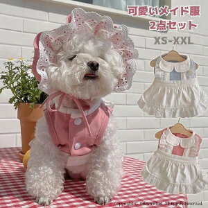 p Lp hX t Pl [X s[X Ch RX`[ RXv  L RXv Ch