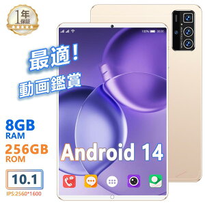 lbg ݑΖ y GMSF sim Wi-Fif 8+256GB Android14 IPSt 2560*1600 10C` { PC