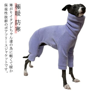 {A Ȃ  ̕ C^O p[X C^O t[X ~ hbOEFA H ~