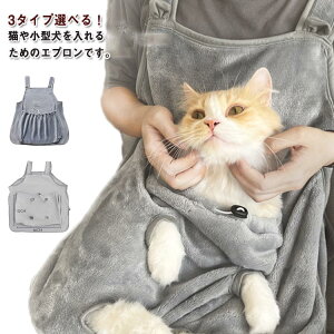 pGv Lp | ybgQ pGv ybgXO R