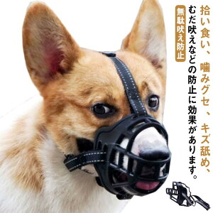 ʖi ݂h~ p}Y ̌ ݃OZ   h~ ̃}Y