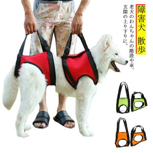 中型犬 お出かけ リハビリ 障害犬 丈夫 ベルト 歩行補助 手術 ハーネス 後ろ足 散歩 犬 前足 歩行補助
