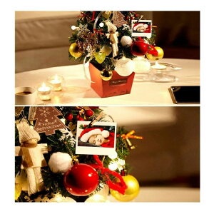 I[ig LL LEDCgt  LEDC~l[V NX}X ~jc[ 50cm 