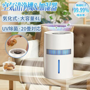 卓上 4L 大容量 最大20畳対応 気化式 usb 4重除菌 上部給水 加湿機 自動湿度調整 2段階風量設定 空気清浄機 花粉