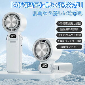 LEDcʕ\ uԗp 啗 100iK pv[g nfBt@