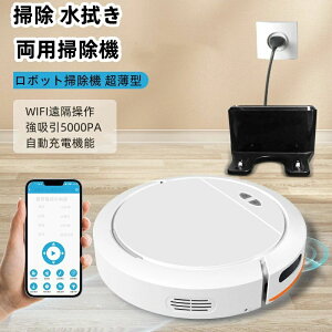 5000Pa͋z ͏ȃGl[d @p ^ XeBbN^ y