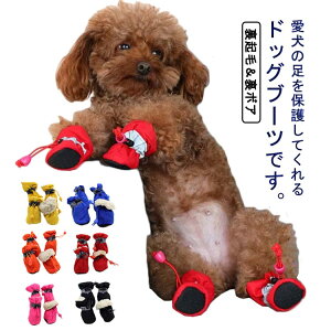 pC یV[Y hbOV[Y hbOu[c C C ̌C ~p N {A _炩 V[Y ybgp