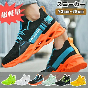  C fB[X jOV[Y bV ^C JWAV[Y EH[LOV[Y   Y