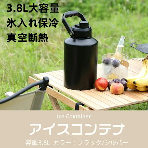 ACXRei 3.8L EH[^[WO ^ Lvp X  ^N ۗ e ^fM L ACXy[
