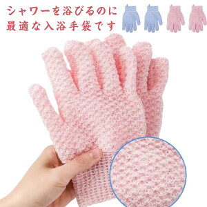 ʗp A ь  oXO[u p {fBEHbV Cp 2Zbg C V[