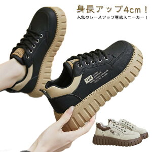 ʋ V[Y Xj[J[ V[Y 4cmq[ C  fB[X ₷ gAbv r 킢 JWA [XAbv ɂȂ [Jbg d U t  H AC{[ u