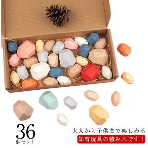 天然木 木のおもちゃ 木育 ウッドブロック くすみカラー 北欧風 木製 知育 積石 おもちゃ つみき 積み木