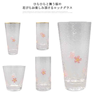 sN V[ghN 260ml bNOX I[hOX 畿 NA 300ml  ECXL[  Rbv 