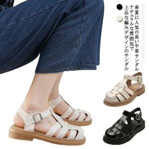 xgT_ ؂ EFbW\[ 傫TCY ₷  T_ H Ol܂