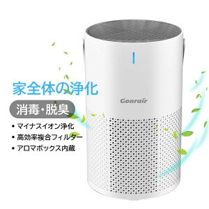 マイナスイオン発生器 加湿なし タイマー 寝室 リビング PM2.5対応 脱臭 ニオイ ホコリ ペット 花粉 黄砂 花粉対策