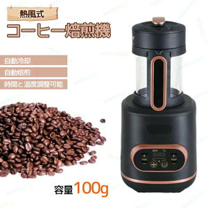 電動熱風式 コーヒー焙煎機 コーヒー豆焙煎機 コーヒーロースター 100g 珈琲焙煎機 コーヒー焙煎冷却機 冷/熱風 コーヒー焙煎器