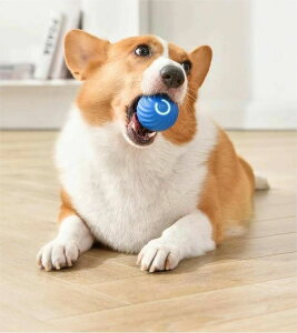  {[  S  d{[ Cheerble {[  h