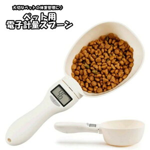 hbOt[h fW^ ybgObY ybgpi lR Ck L  t[hXv[ ybgt[h