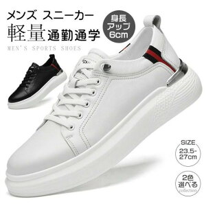 Xj[J[ 6cmUP V[Y YC V[NbgV[Y JWAV[Y  {v  ʋ ʊw