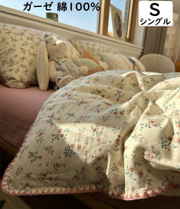  ɗD _炩 100% K[[ ԕ q l VO 3_Zbg