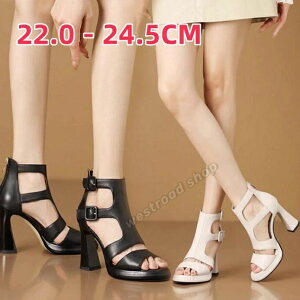 ₷ 9.5cmq[ q[ I[vgE obNWbp[ fB[X OfBG[^[ T_