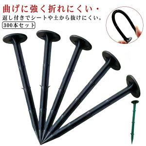 25cm V[g Œs 16cm 11cm PPY B s Œ hV[g Y 300{Zbg }Y _