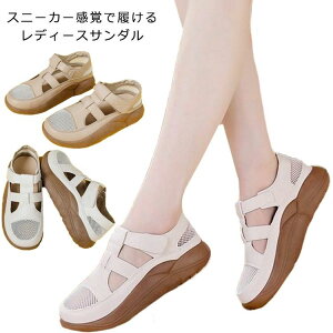 ₷ ₷  rT_ Xgbv ɂ V[Y C ؂ bVXj[J[ fB[X