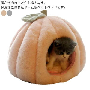  ӂӂ g _炩 킢 h[^ LnEX LTCY nEX J{`^ ybgxbh ^ xbh