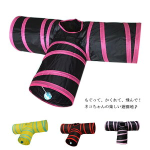 gl ˂gl ybĝ Lbggl vCgl lRnEX ܏ݎ ybgObY Lp