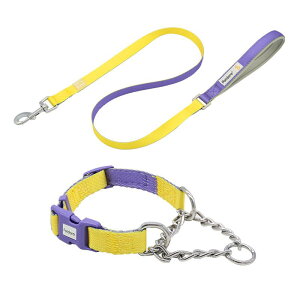 U |GXe P   ybg  ^ ɂ ߉\(x5)  ^  IW `[J[ 