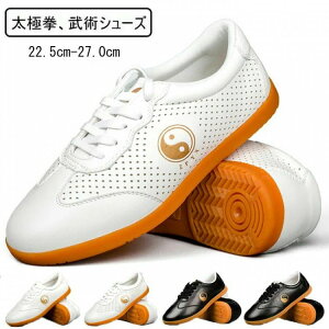 p Jt[pC vC 22.5cm-27.5cm v ɌpV[Y C Ɍ pV[Y  ɌV[Y