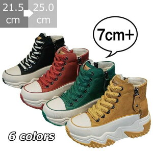 _bhXj[J[ fB[X gup 7cm Cq[ q[Abv EH[LOV[Y C PUU[ bV