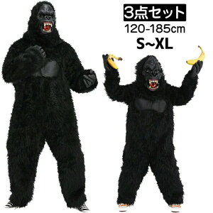 RXv l q  LbY S   3_Zbg b  Jo[I[ eqyA gorilla 