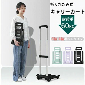 VbsO  LX^[t SЂ nhL[ É ^  y ω׏d60kg L[J[g