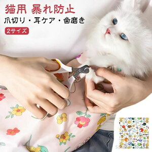 ObY J O[~O  }WbNe[v̂悤 ^I ނ g~O ܐ؂ L Q[@ Jbv