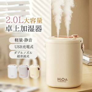 車用 寝室 部屋 オフィス 上部給水式 コードレス 除菌 USB充電式 2L 大容量 空気清浄機 超音波 ミニ加湿器 卓上 小型