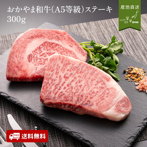 ܘa(A5)Xe[L300g RO  Zbg Mtg  Ε 