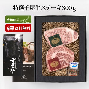 I牮Xe[L300g RO  Zbg Mtg  Ε 