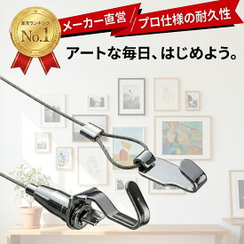 マラソンP10倍！ 【吊すインテリア】 楽天1位 一体型 ワイヤーフック 長さ調節 送料無料 ピクチャーレール用 壁掛け 金具 写真 額縁 掛け軸 耐荷重40Kg 3年保証 メーカー直販 検品済み Road clover