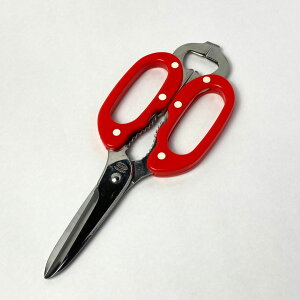 yւ̐nzLb`oT~ RbN { HΉ Ȃ MUn   Lb`nT~ nT~ oT~ nT~ oT~ ؂₷ Lb`pi  N