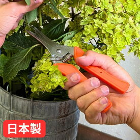 【強力】便利ハサミ 日本製 園芸用ハサミ 収穫ハサミ 園芸鋏 先細 多用途 剪定鋏 剪定ばさみ 剪定バサミ 園芸はさみ 園芸ハサミ 園芸バサミ 収穫鋏 収穫用はさみ 収穫用ハサミ 収穫バサミ 園芸 収穫 剪定 ガーデニング ハサミ はさみ 鋏 万能ハサミ ステンレス 粗大ゴミ解体