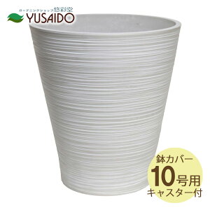  LEAD STYLE Jo[ EGPL4045WH GRth[|bg LX^[t zCg 10iڔjp A Jo[  Aؔ 5 ϗtA   A O[ CeA vX`bN 