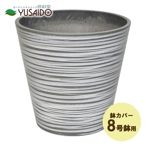  LEAD STYLE Jo[ EGPL3129LCH GRth[|bg Cg`R[ 8p A Jo[  Aؔ 5 ϗtA   A O[ CeA vX`bN }bg Vv